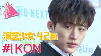 偶像=明星,明星的魅力与影响力解析