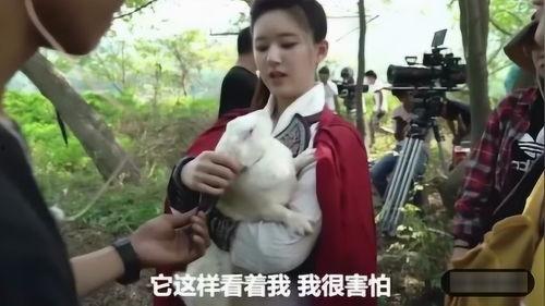 陈芊芊沙雕花絮,笑料百出，欢乐无限