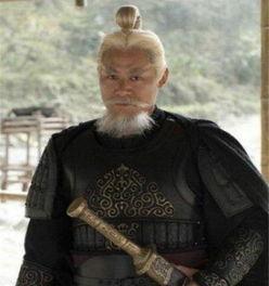 司马错演员,历史风云中的传奇身影